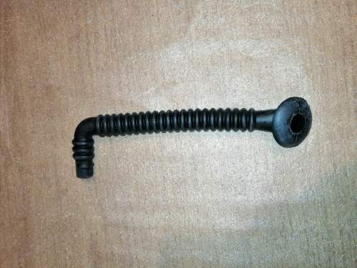 91976603_212359290199523_6243148939453792256_n.jpg