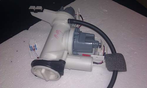 IMAG1357.jpg