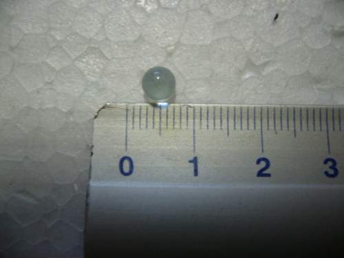 P1050201.JPG